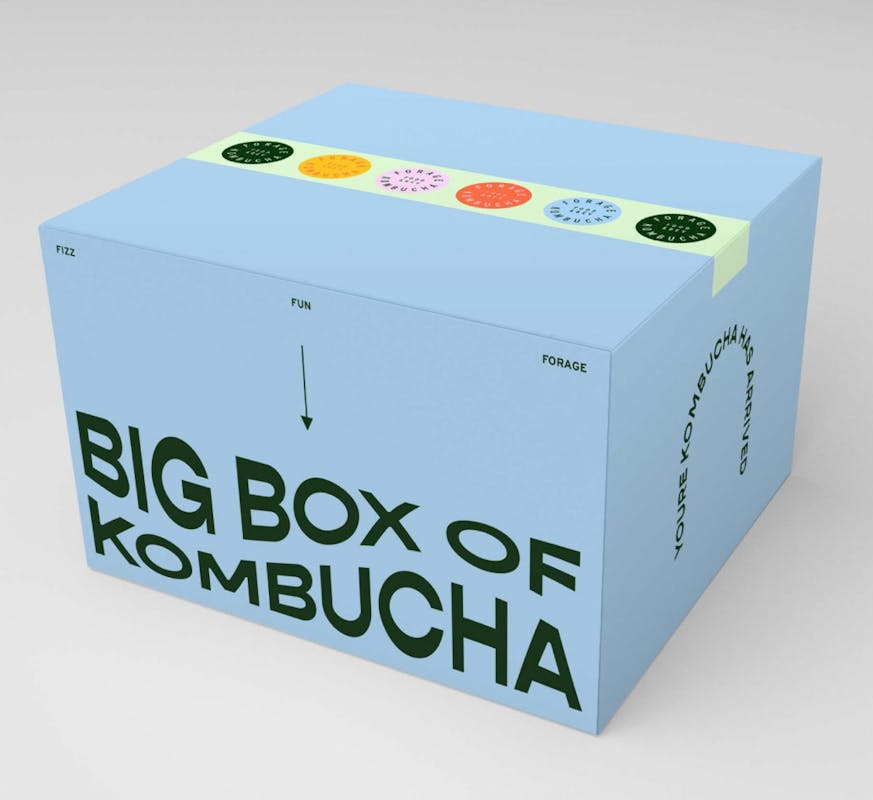 Forage kombucha shipper box